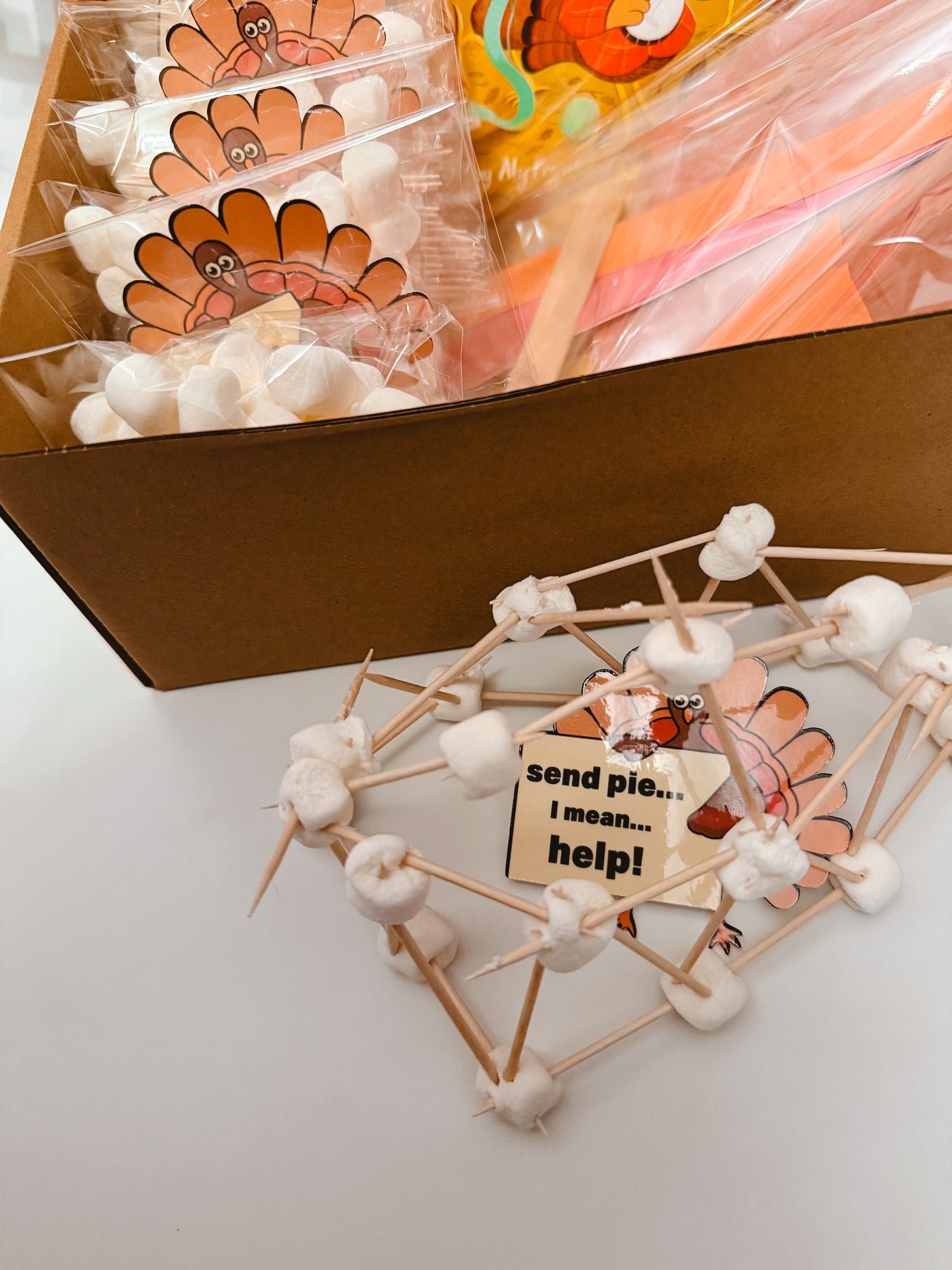 I’m a Little Turkey Story Box | Thanksgiving Kids Activity Kit